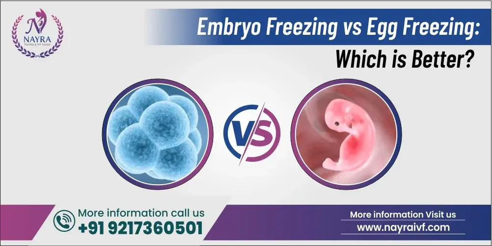 embryo-freezing-vs-egg-freezing-which-is-better