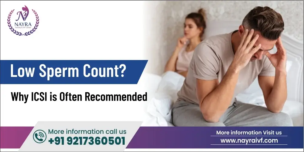 low-sperm-count-why-icsi-is-often-recommended