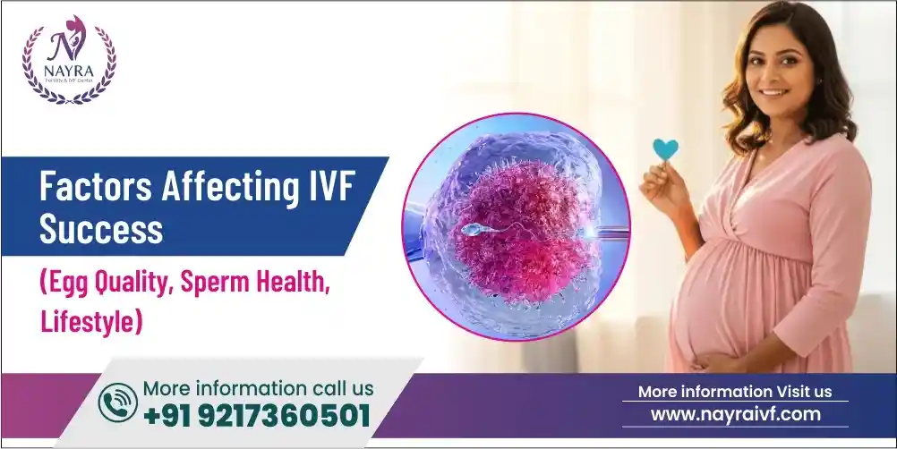 factors-affecting-ivf-success