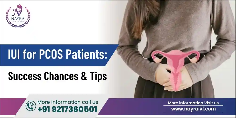 iui-for-pcos-patients